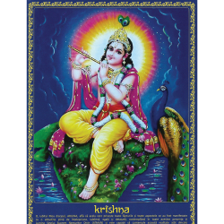 Set 12 postere Marele Avatar Krishna