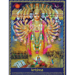 Set 12 postere Marele Avatar Krishna