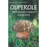 Ciupercile