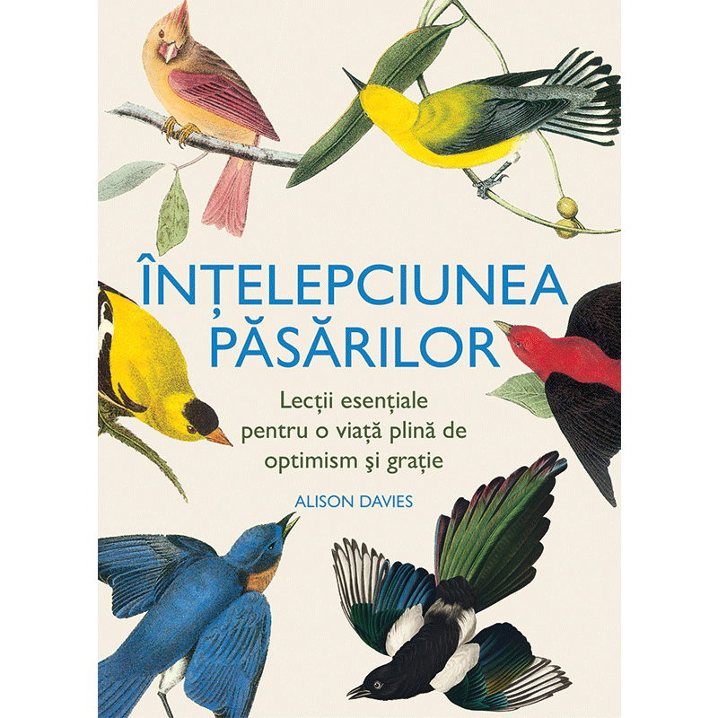 Înțelepciunea păsărilor