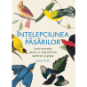 Înțelepciunea păsărilor