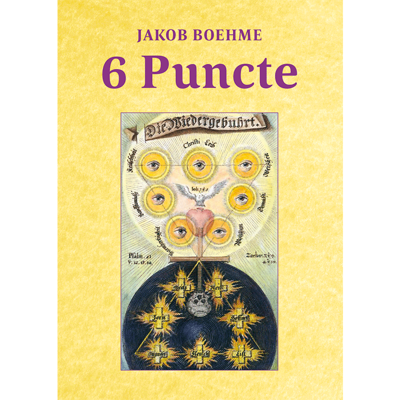 6 Puncte