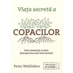 Viața secretă a copacilor