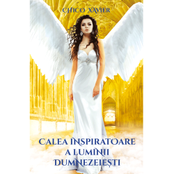 colecția Chico Xavier