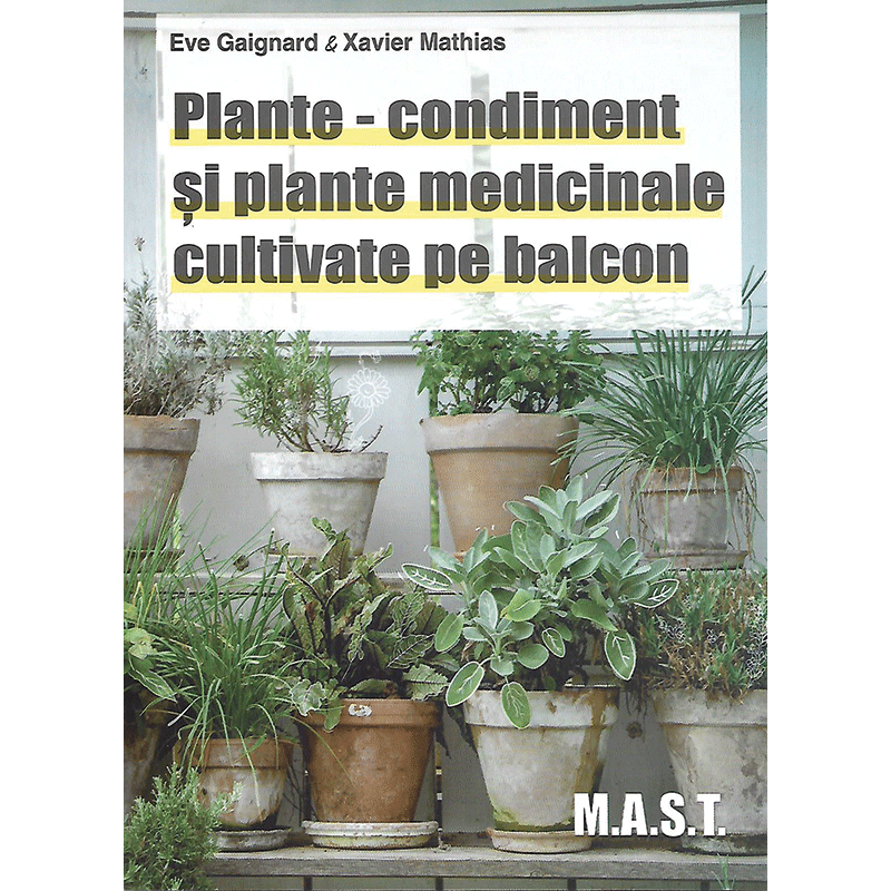 Plante - condiment și plante medicinale cultivate pe balcon