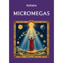 Micromegas