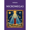 Micromegas