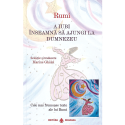 set Rumi