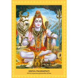 Set postere 22 Ipostaze ale Marelui Zeu Shiva