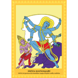 Set postere 22 Ipostaze ale Marelui Zeu Shiva