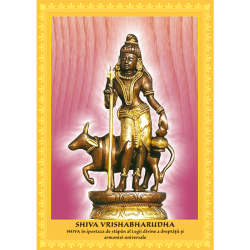Set postere 22 Ipostaze ale Marelui Zeu Shiva