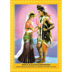 Set postere 22 Ipostaze ale Marelui Zeu Shiva